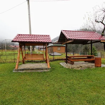 карпатська полонина Yaremche