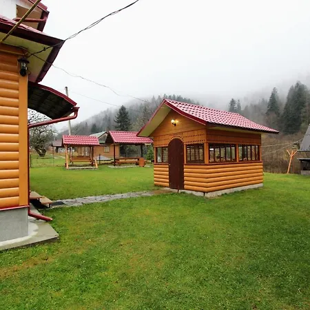 карпатська полонина *