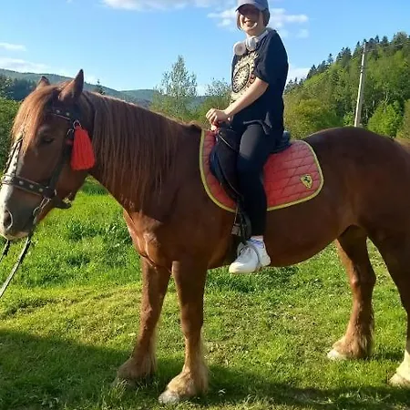 карпатська полонина Jaremtje