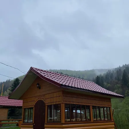 карпатська полонина * Yaremche