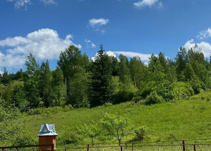 карпатська полонина Apartamento