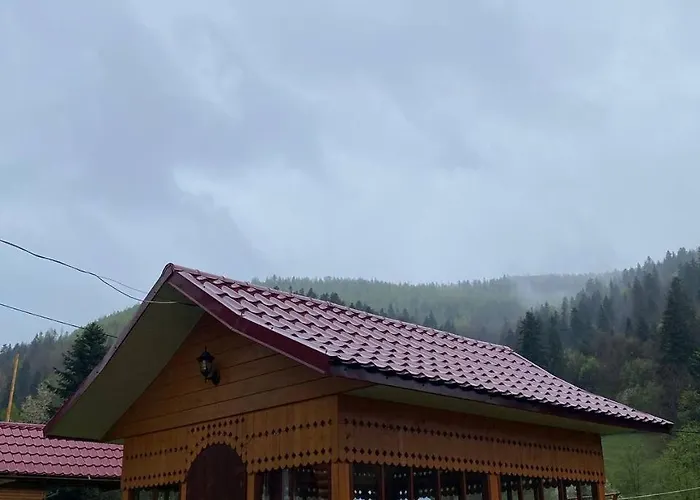 карпатська полонина * Yaremche